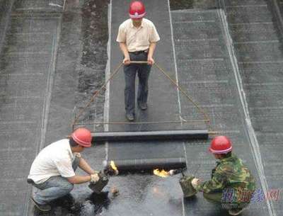 蘇州園區房屋防水堵漏維修價格解析 從屋頂到室內的全面指南